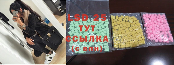 прущие грибы Приозерск