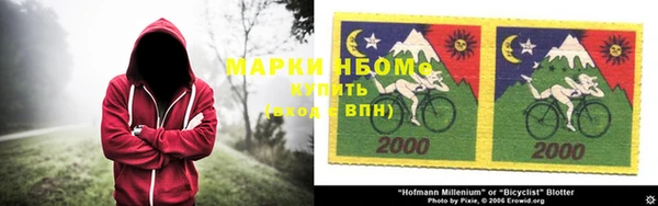 прущие грибы Приозерск