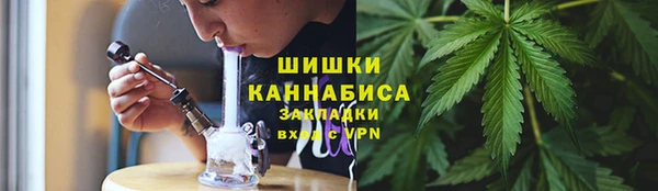 прущие грибы Приозерск