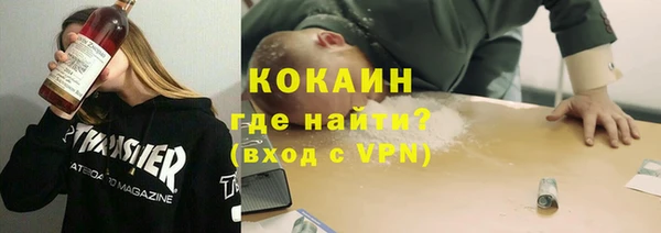 прущие грибы Приозерск