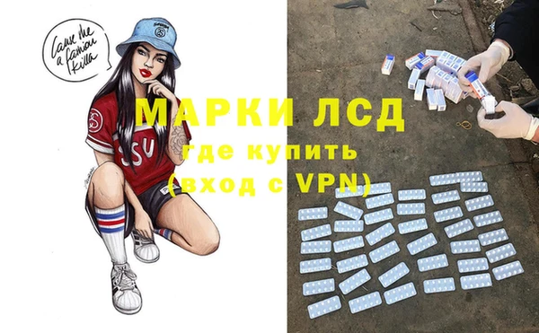 прущие грибы Приозерск