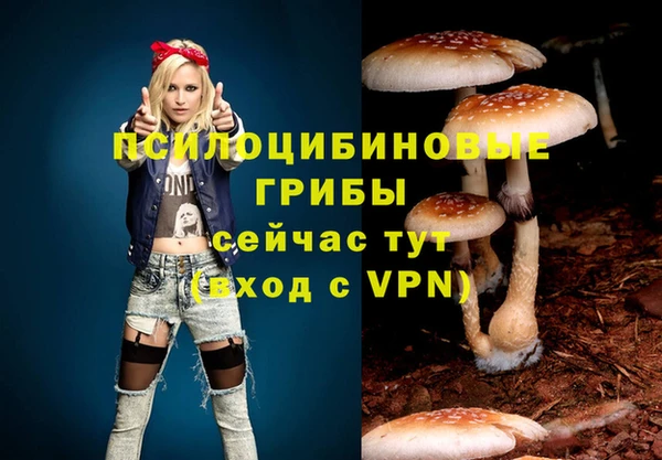 марки nbome Пролетарск