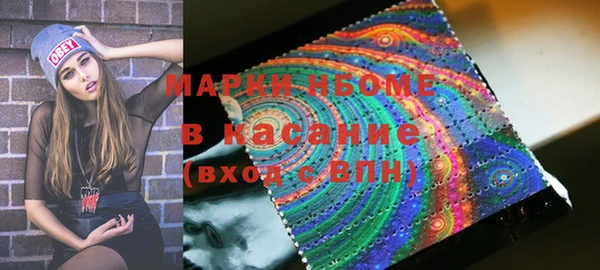 прущие грибы Приозерск