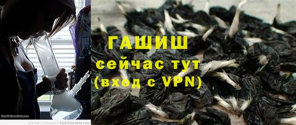 прущие грибы Приозерск