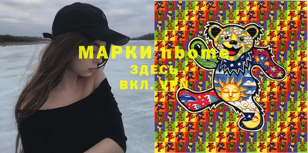 прущие грибы Приозерск