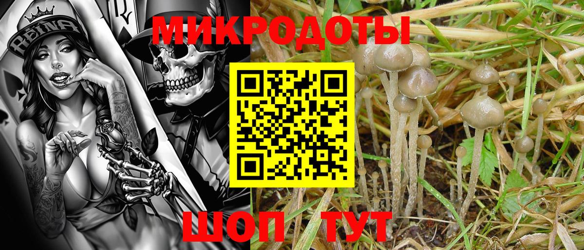 Галлюциногенные грибы ЛСД Великие Луки