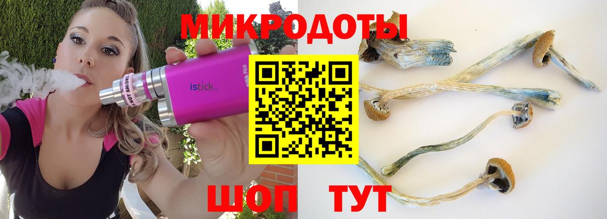 Галлюциногенные грибы Magic Shrooms  Великие Луки 